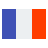 Bandera francés